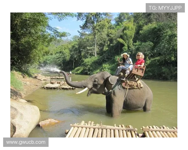 泰国电视剧大全：解锁东南亚荧屏的浪漫与奇幻之旅